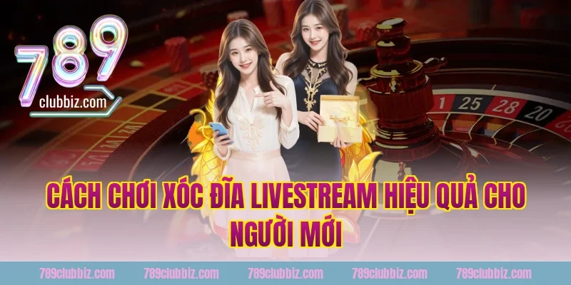Cách Chơi Xóc Đĩa Livestream Hiệu Quả Cho Người Mới