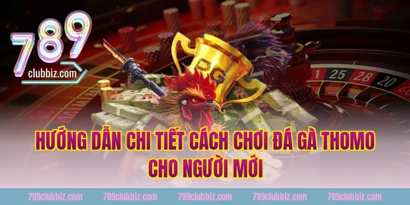 Hướng dẫn chi tiết cách chơi đá gà thomo cho người mới