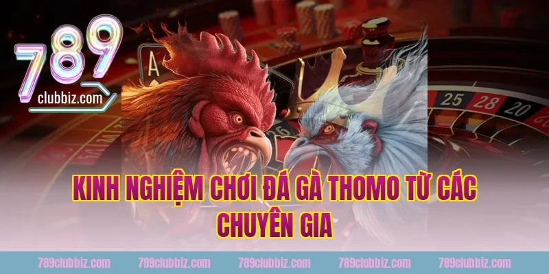 Kinh nghiệm chơi đá gà thomo từ các chuyên gia